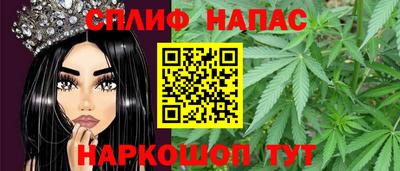 стаф Владимир