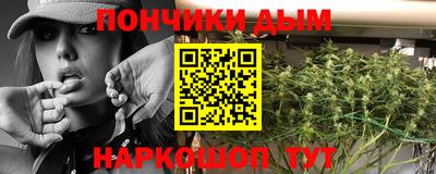 стаф Владимир
