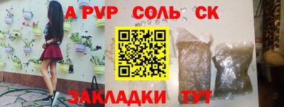 стаф Владимир