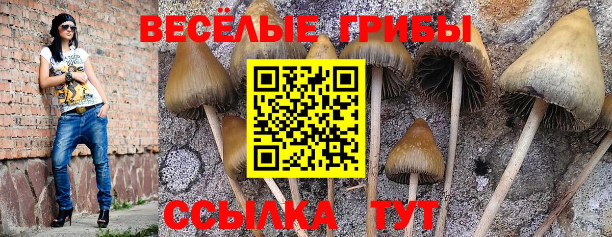 Зеленодольск  Псилоцибиновые грибы GOLDEN TEACHER  купить   Галлюциногенные грибы Psilocybe  Вход с VPN 