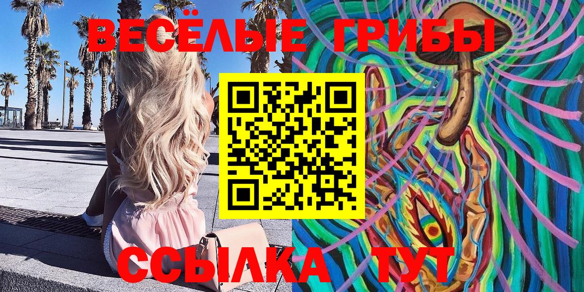 Псилоцибиновые грибы прущие грибы Зеленодольск